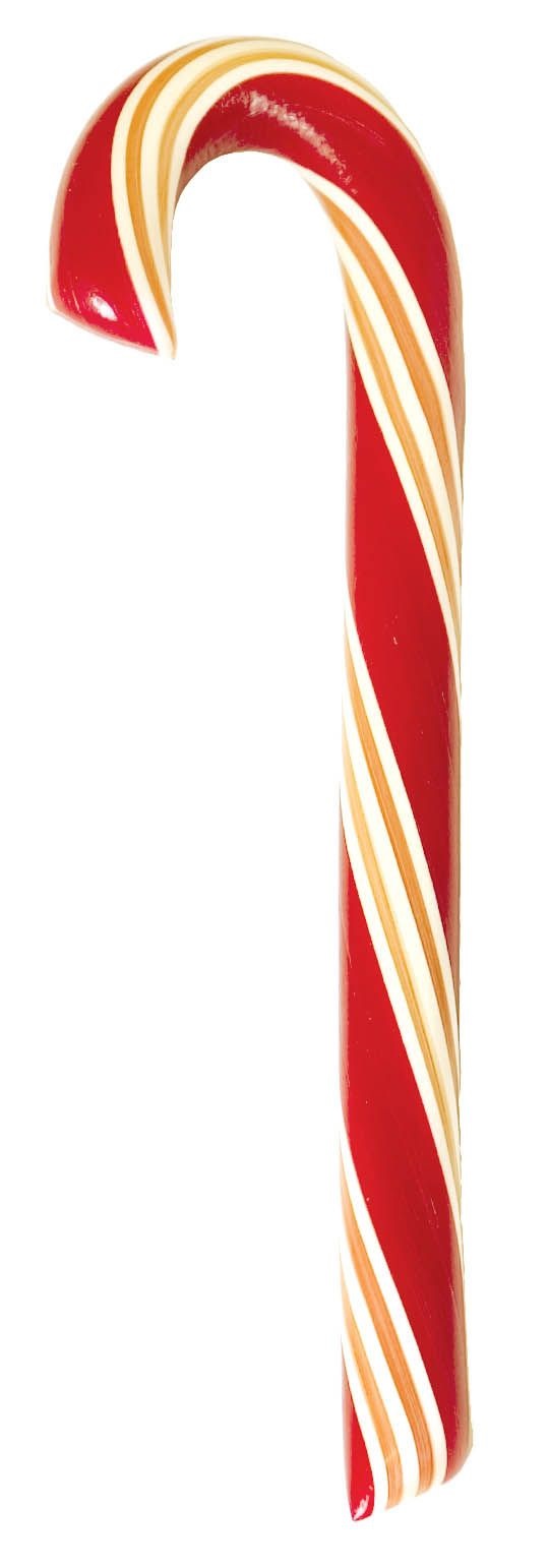 HAMMONDS - 1.75 OZ ORGANIC CANE/MINT 48 CT(X)