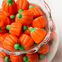 ZACHARY - MELLOCREME PUMPKINS (H)