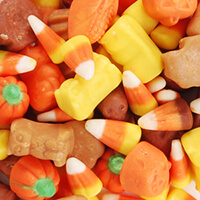 ZACHARY - DELUXE HARVEST MIX (FALL FESTIVAL) (H)