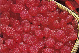 CAVALIER - BULK RASPBERRY DROPS (X)