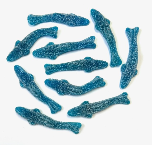EVIZA GUMMIES - BLUE SOUR SHARKS (SANDED)