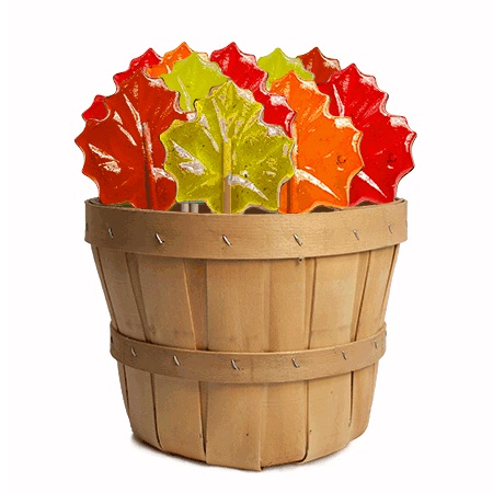 MELVILLE - AUTUMN LEAVES ASST POPS BASKET 30 CT (H)