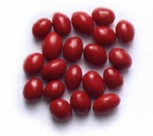 SCONZA - RED BOSTON BAKED BEANS