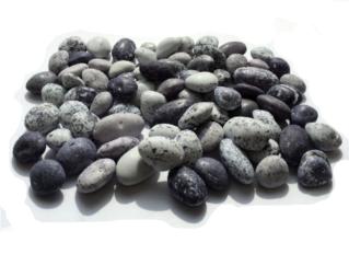 FIESTA / GREAT BAY - BEACH PEBBLES